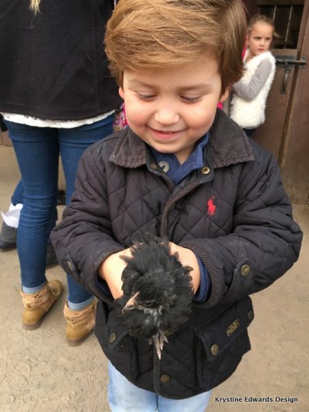 Krystine Edwards Design